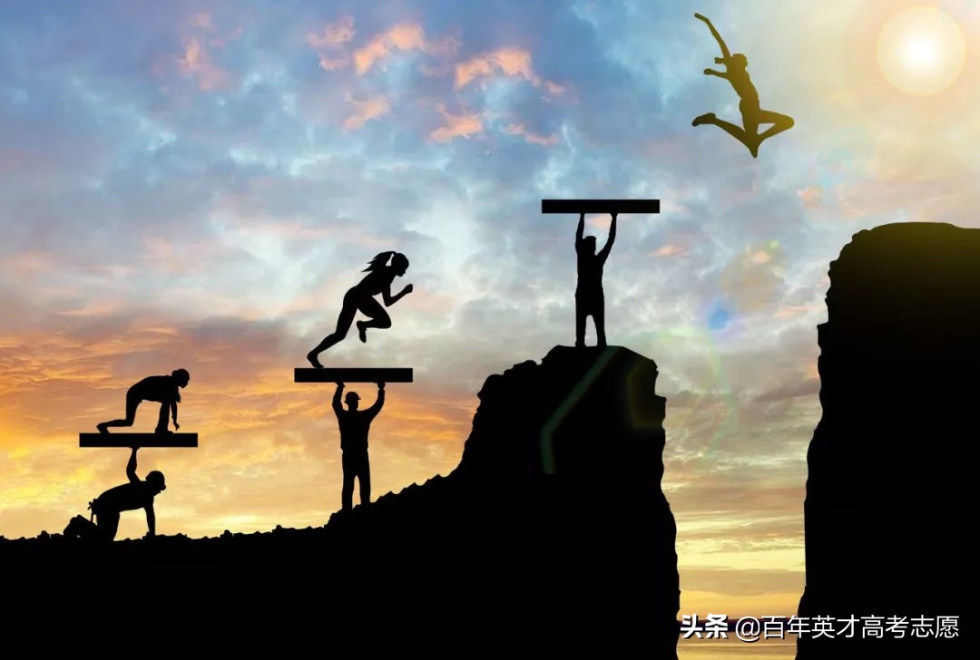 高考模拟填报（别人家孩子）