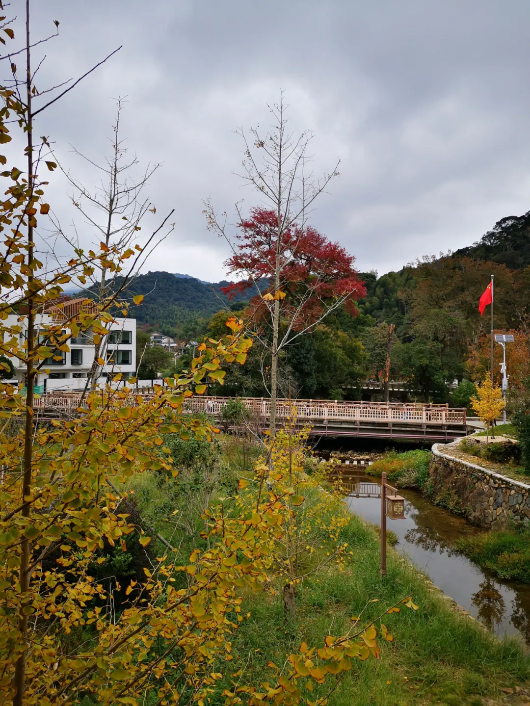 消费宣传走进九峰村