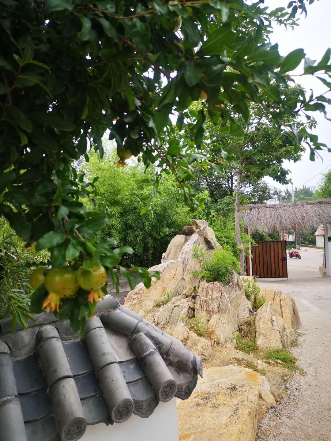 来一趟说走就走的旅行：住民宿，游小泰山，吃吃喝喝，玩玩闹闹