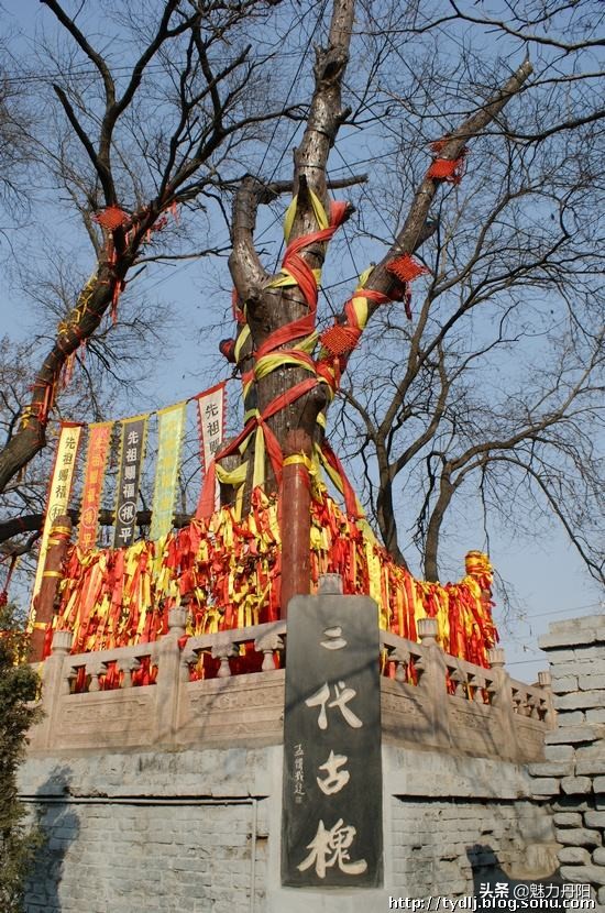 菏泽市开发区史话之十八  溯源“大槐树”，铭记“老鹳窝”  ——亿万中国人的血脉密码和移民情结