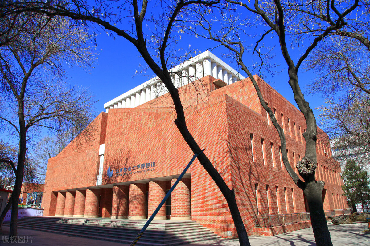 北京林业大学2021年已发布部分省份录取成绩，附各省录取时间