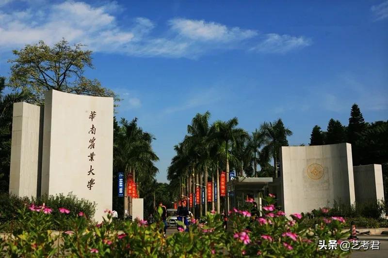 广东省内排名前10的重点大学，面向全国承认美术统考录取的专业
