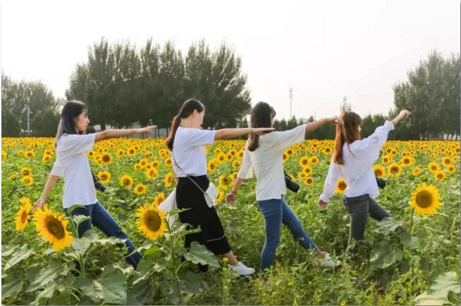 @东北考生，三种色彩，带你遇见不一样的沈阳工业大学！