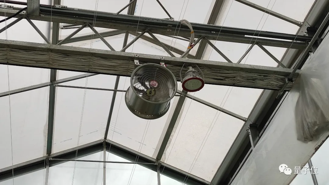 没想到,拼多多竟然想用AI种草莓给我吃