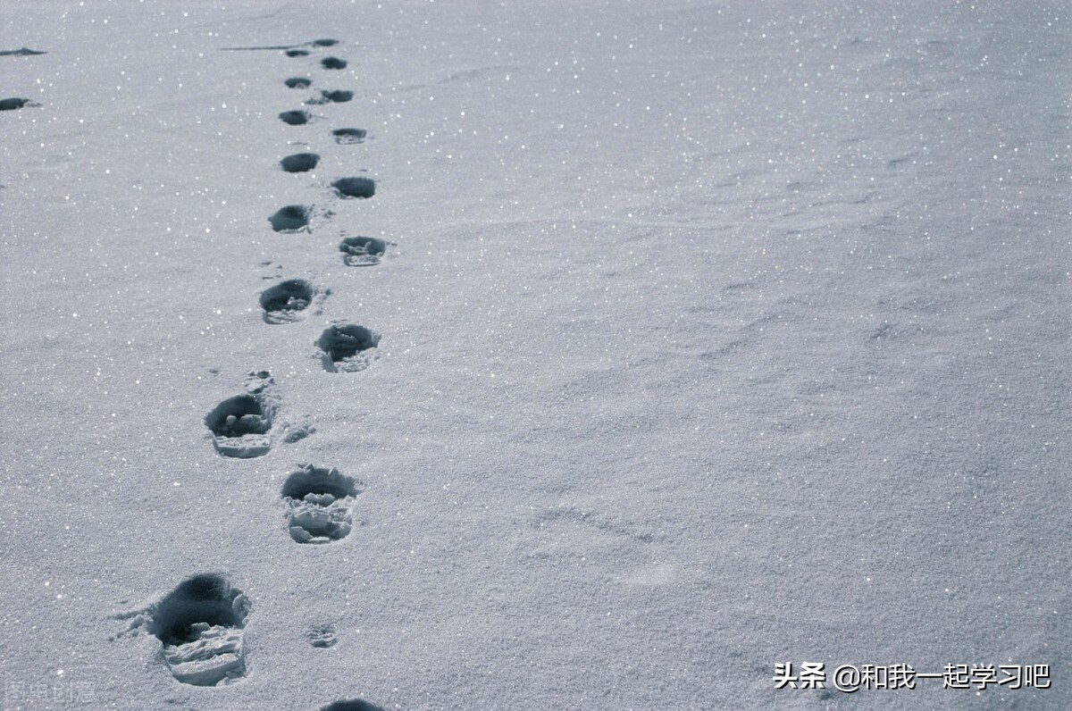 网友：他们是最悲催的大学生，毕业后，再也回不去母校