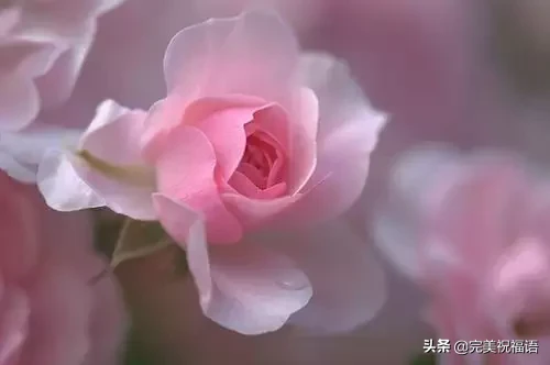 心宽,路自宽