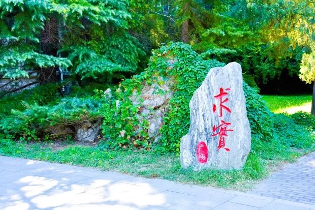 一作发表SCI论文，斩获全国一等奖，来自河北小县城的他现已直博中科院！