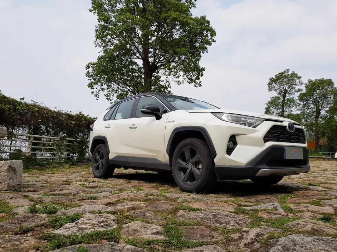 RAV4怎么就吃香了，是因为TNGA、混动系统还是麋鹿测试？