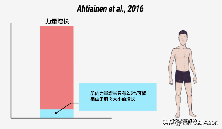 三个建议帮助你加快肌肉增长！