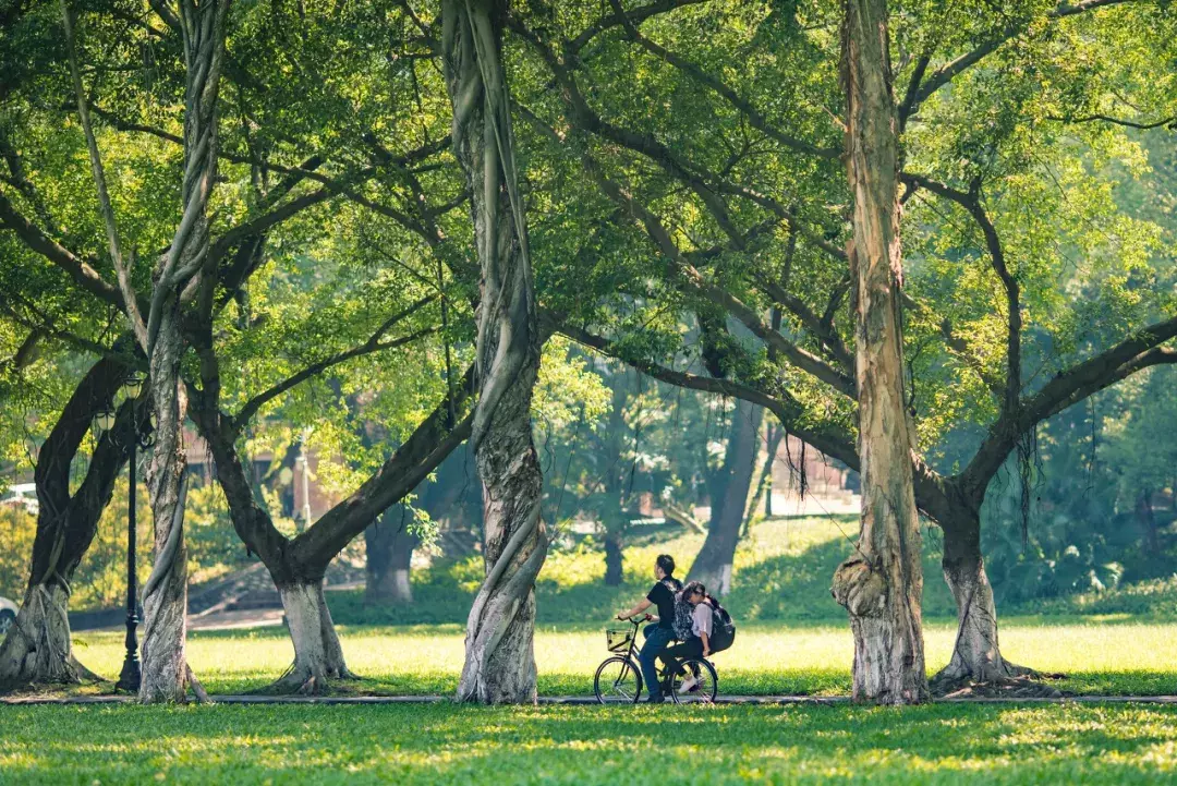 中国春天最美的10座大学，好想回去谈一场恋爱