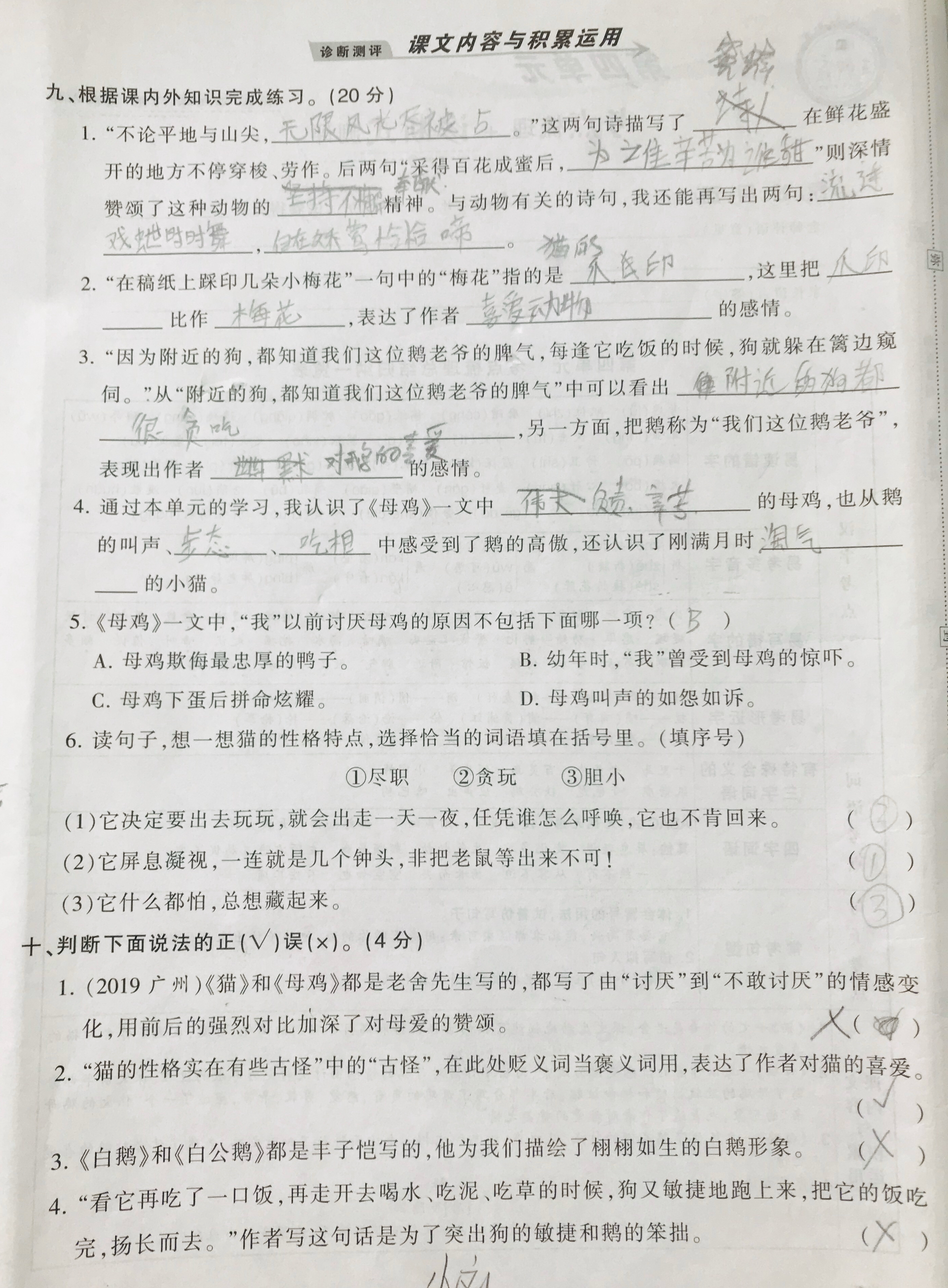 四年级语文1~4单元，专项句子和积累运用考点，孩子期末复习资料