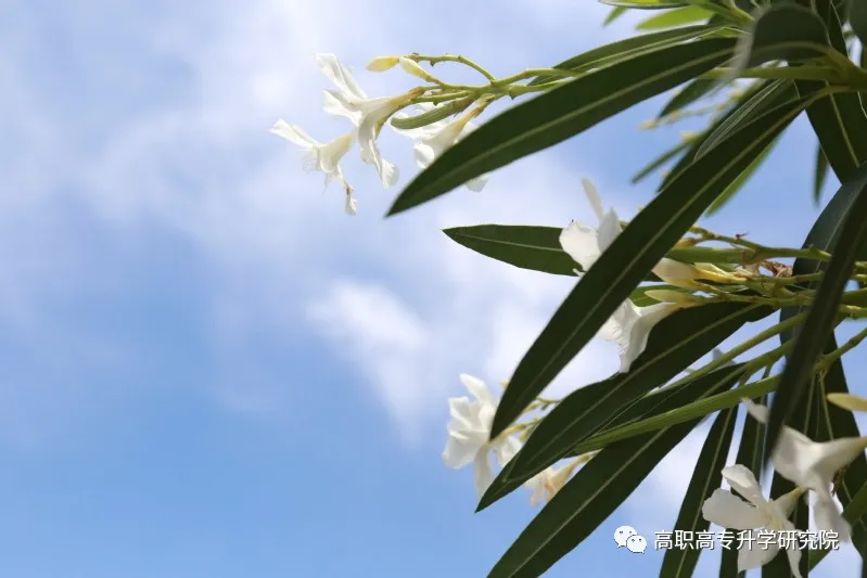 河南机电职业学院