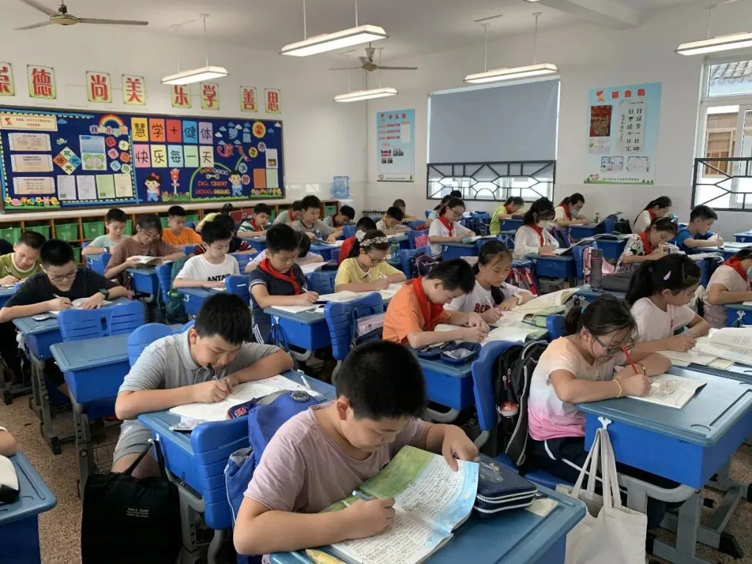 速看！课后服务两小时苏州小学生在校都做了这些