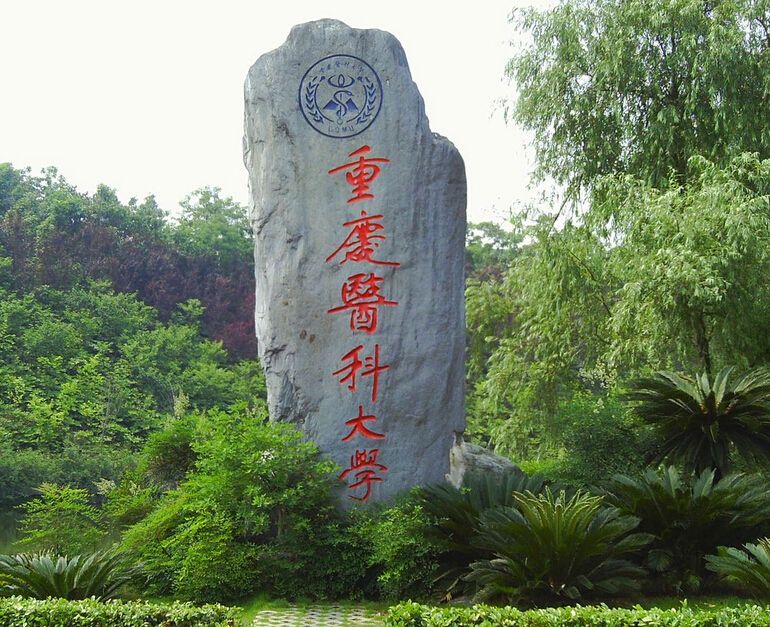 亲戚关系的医科大学：协和和贵医、上医和重医，北医和西交医