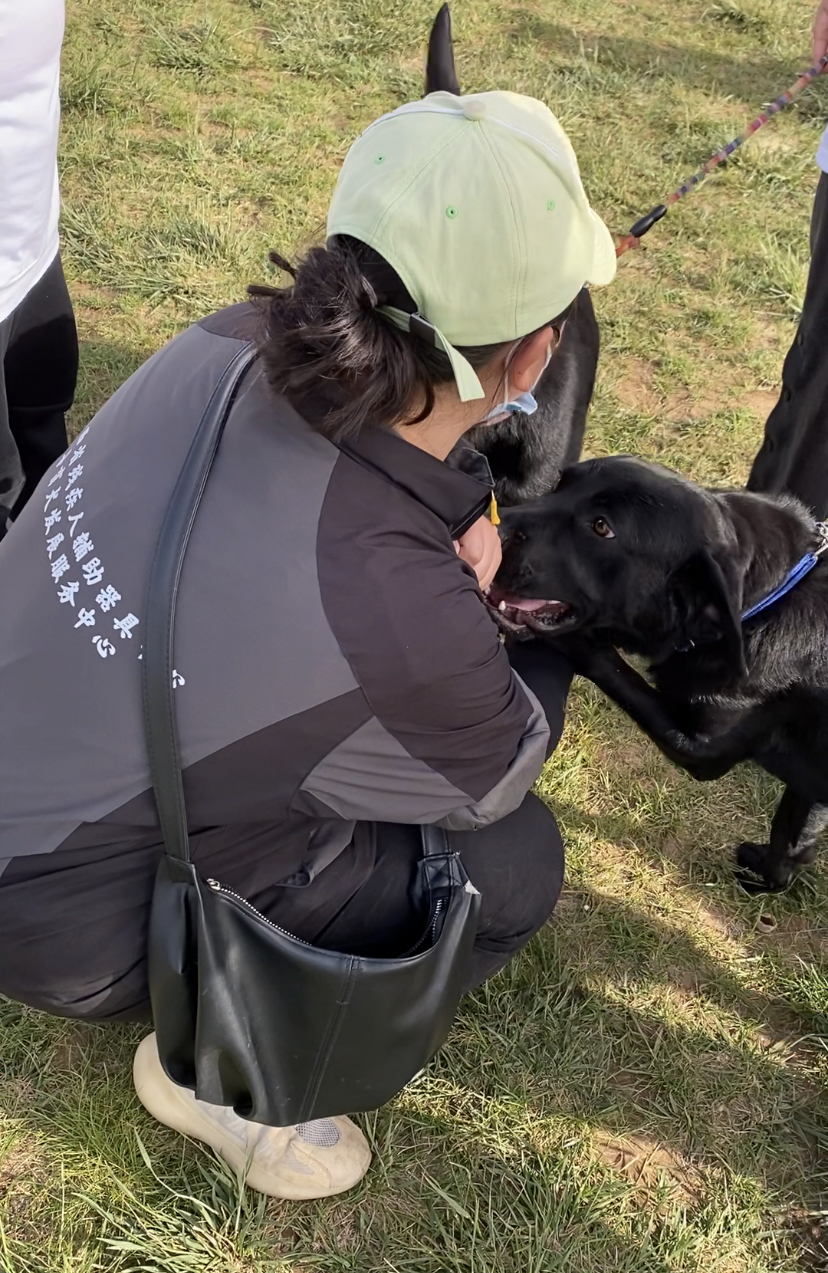 什么是2000万人关注的导盲犬基地？在这里，狗和志愿者才是主角