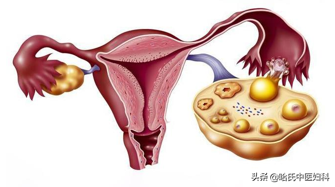 25岁女性卵巢早衰如何调理恢复