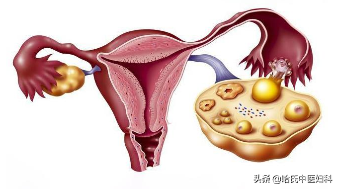 卵巢早衰怎麼辦?試試這味良方