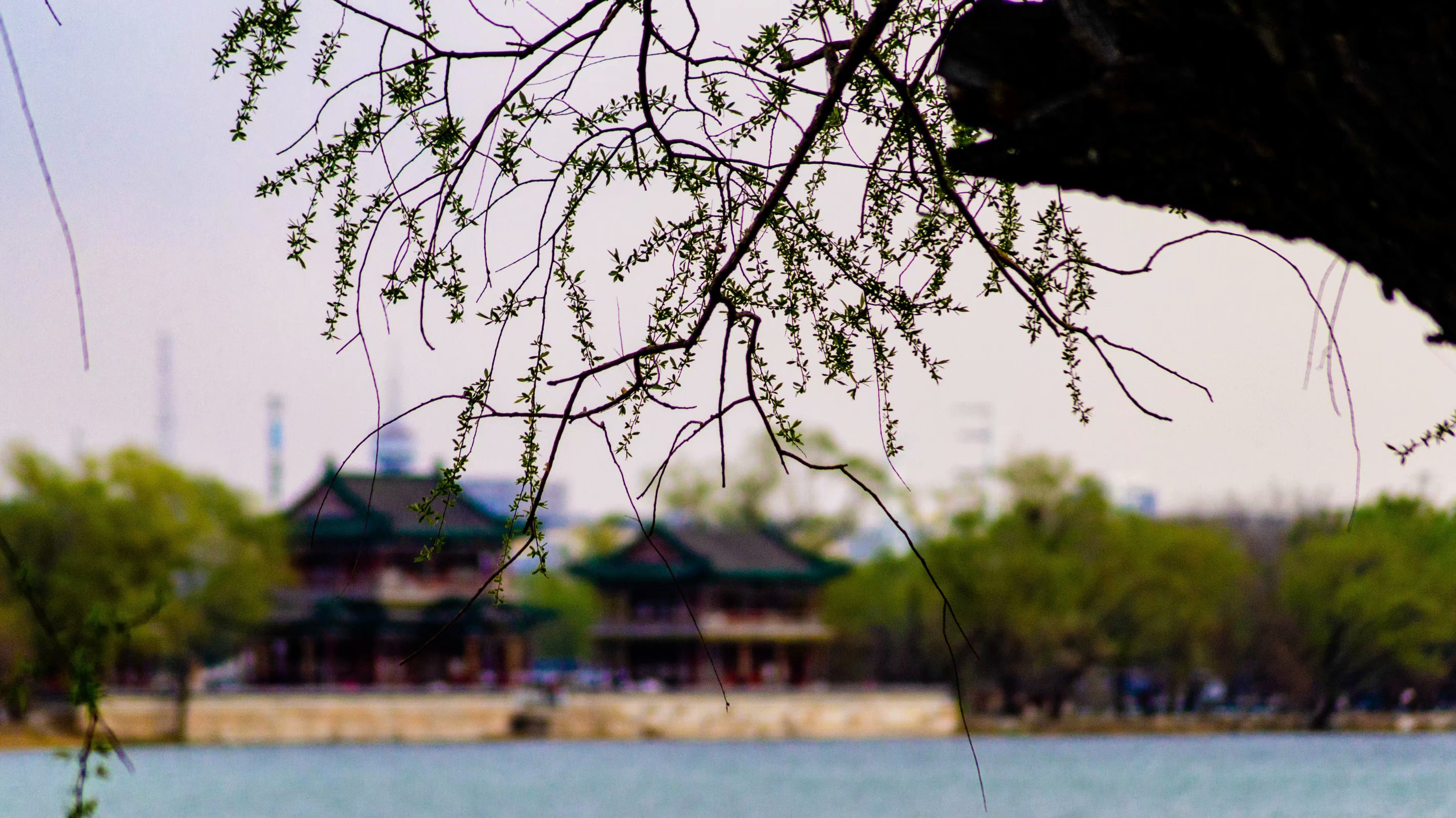 这所高校并非双一流，却是浙江省唯一拥有会计学博士点的大学