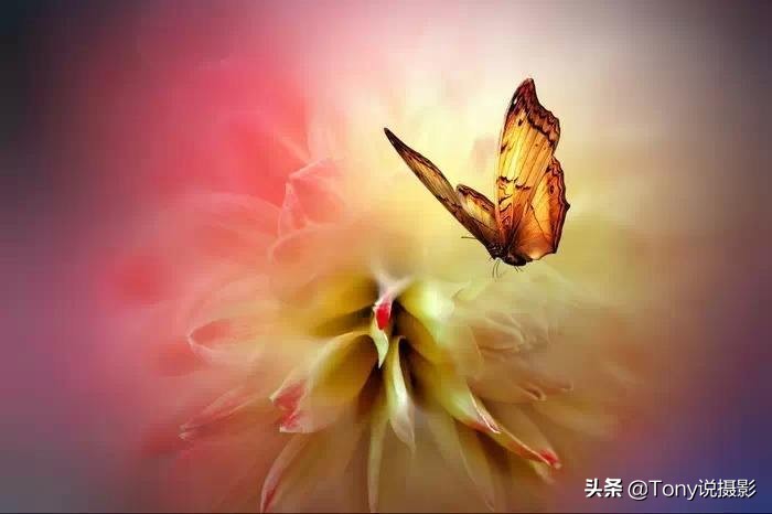 完整的摄影口诀，你要的摄影知识都在这