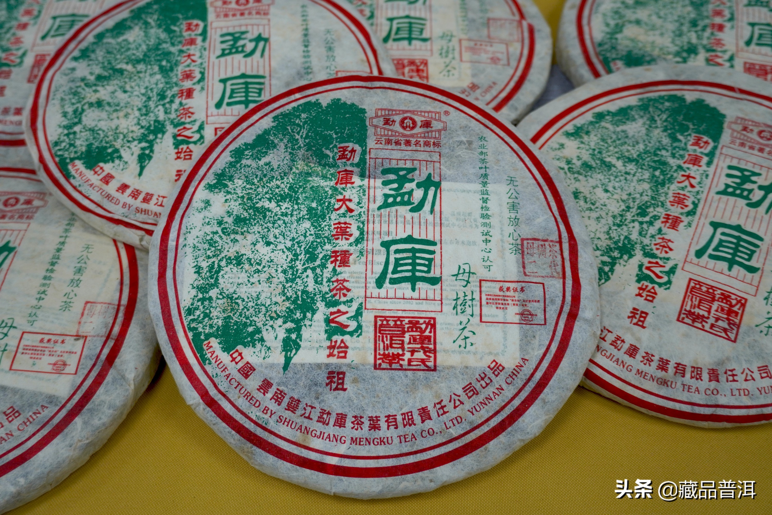 勐库戎氏母树茶春母,为什么比秋母贵这么多?喝过你就懂了