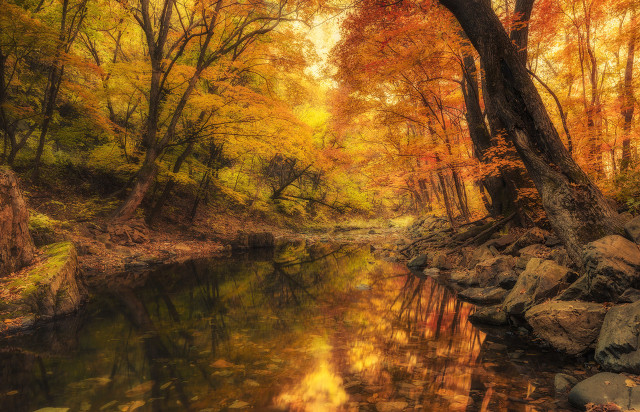 每日一词《桂枝香》赏析