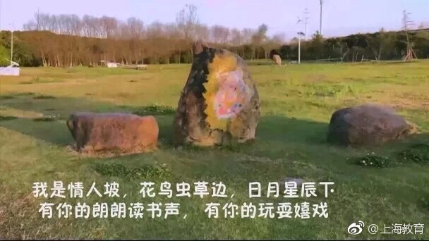 为什么很多人会觉得南汇（惠南）大学城衰落的很严重