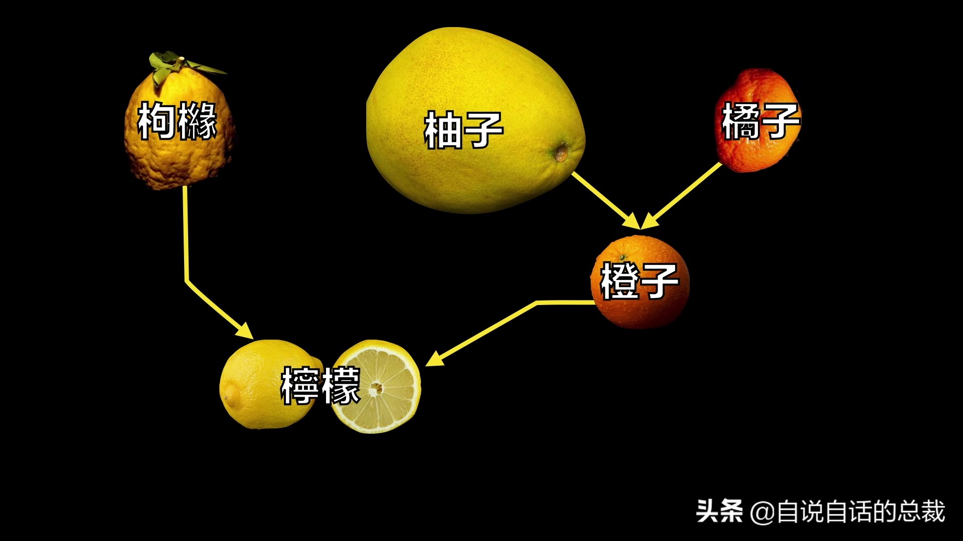 全世界的柠檬都读Lemon？这背后有一个刻在8号染色体上的上古故事