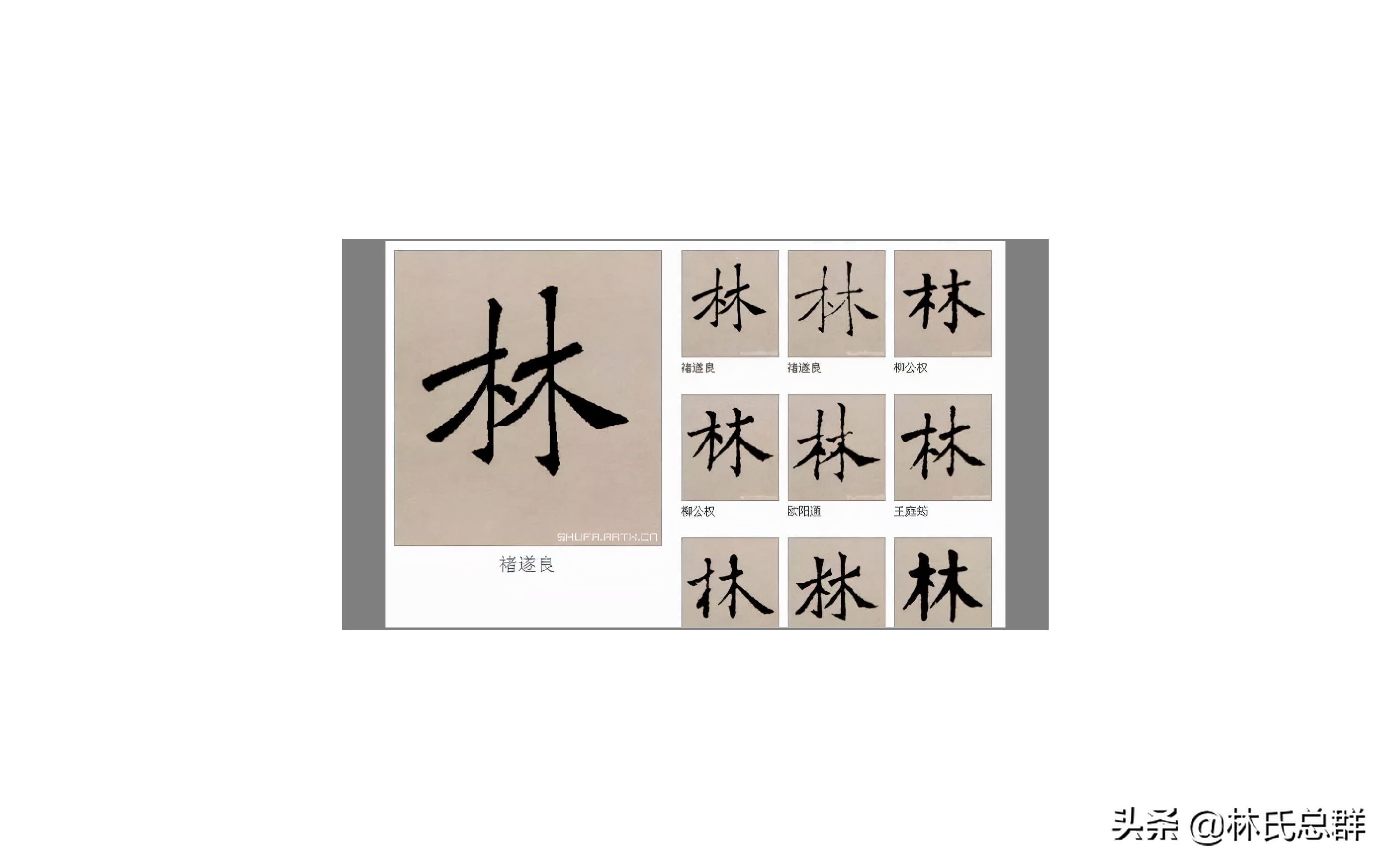 “林”字怎么写才够惊艳？一笔一画尽显风采！