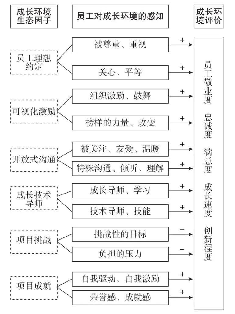 混序生态与开放文化