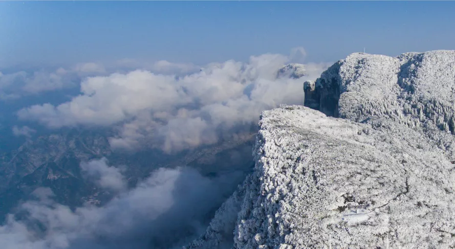 冬雪落下的刹那，金佛山美成了童话！