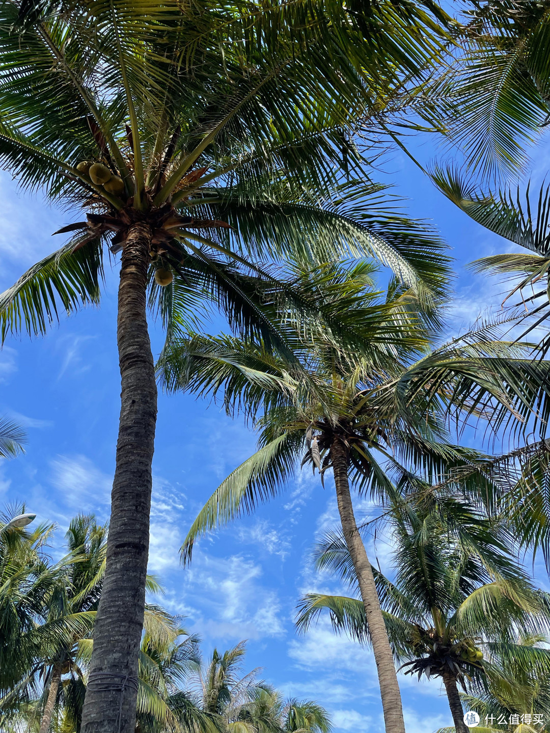 玩转海南：被称为“东方夏威夷”的海南圣地，旅游攻略+避坑防雷