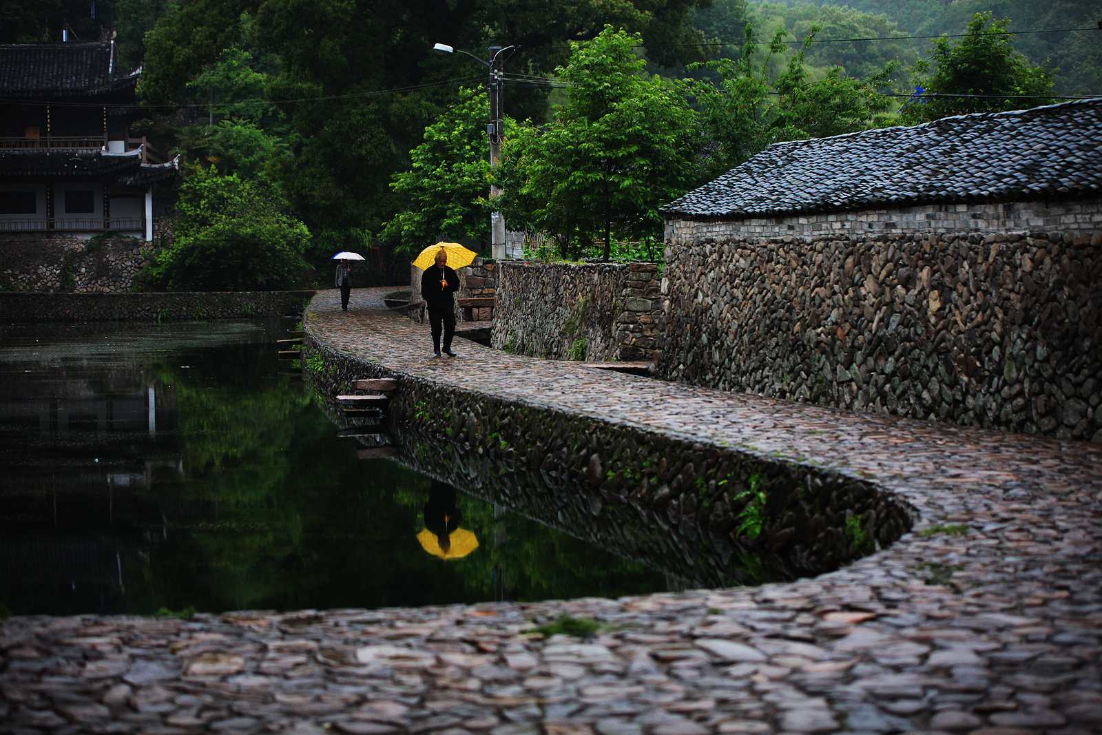 乡土散文:雨落乡村