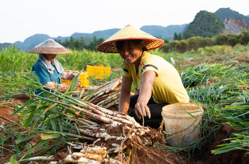 腊八已过，若不差钱，湖南永州这5种特产美食别错过，正宗家乡味