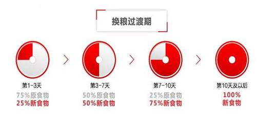 狗狗吐狗粮什么回事？