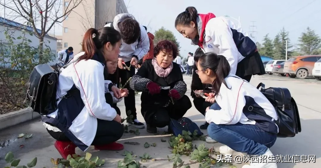 阳光正好丨多维度、高清图，带你一起了解咸阳职业技术学院