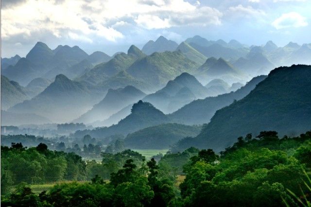 静夜春山     禅意诗佛 ——三年级古诗《鸟鸣涧》品读