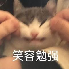 猫咪表情包合集你这是想干嘛呀？