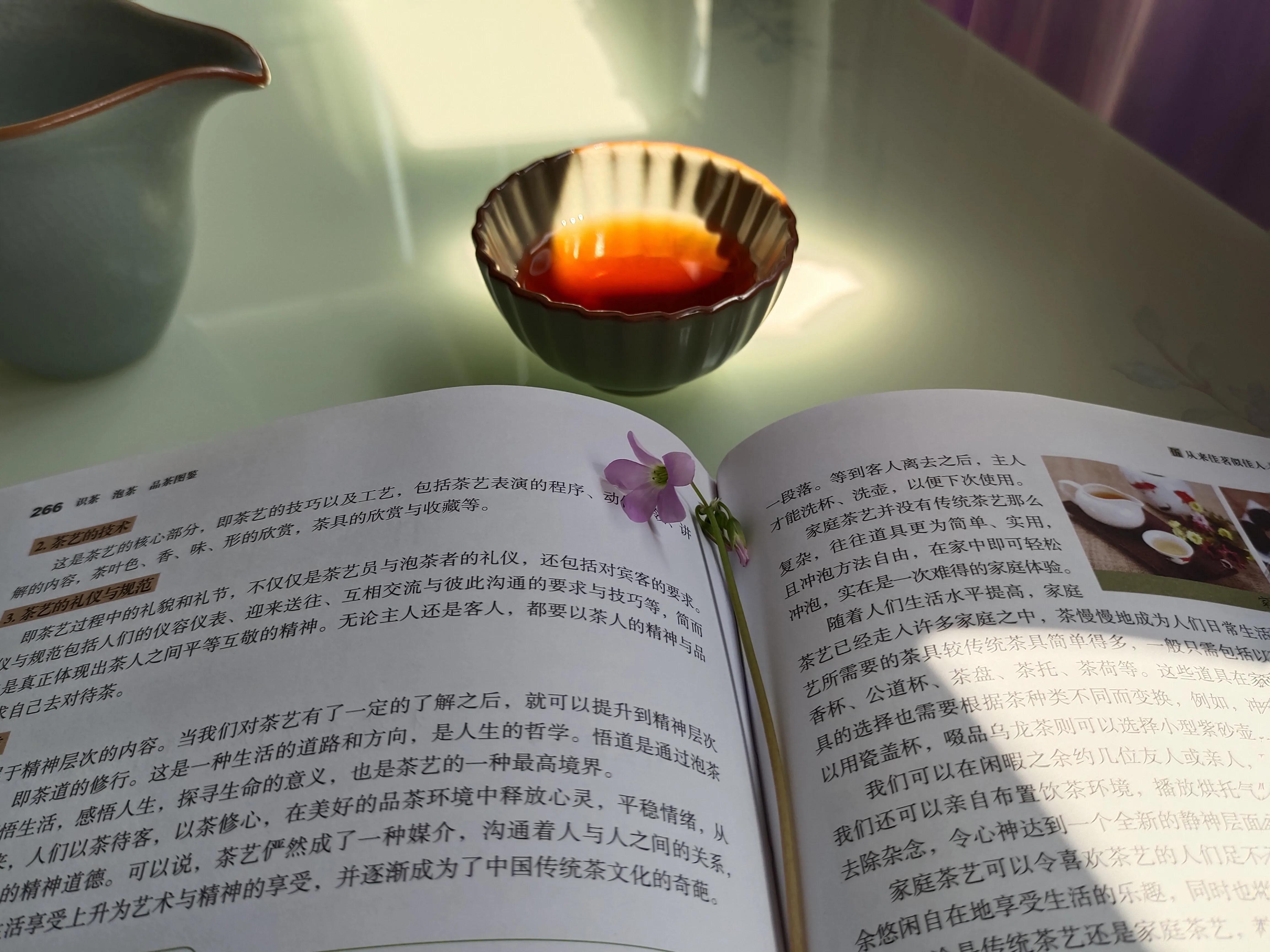 一杯茶水一本书的图片图片