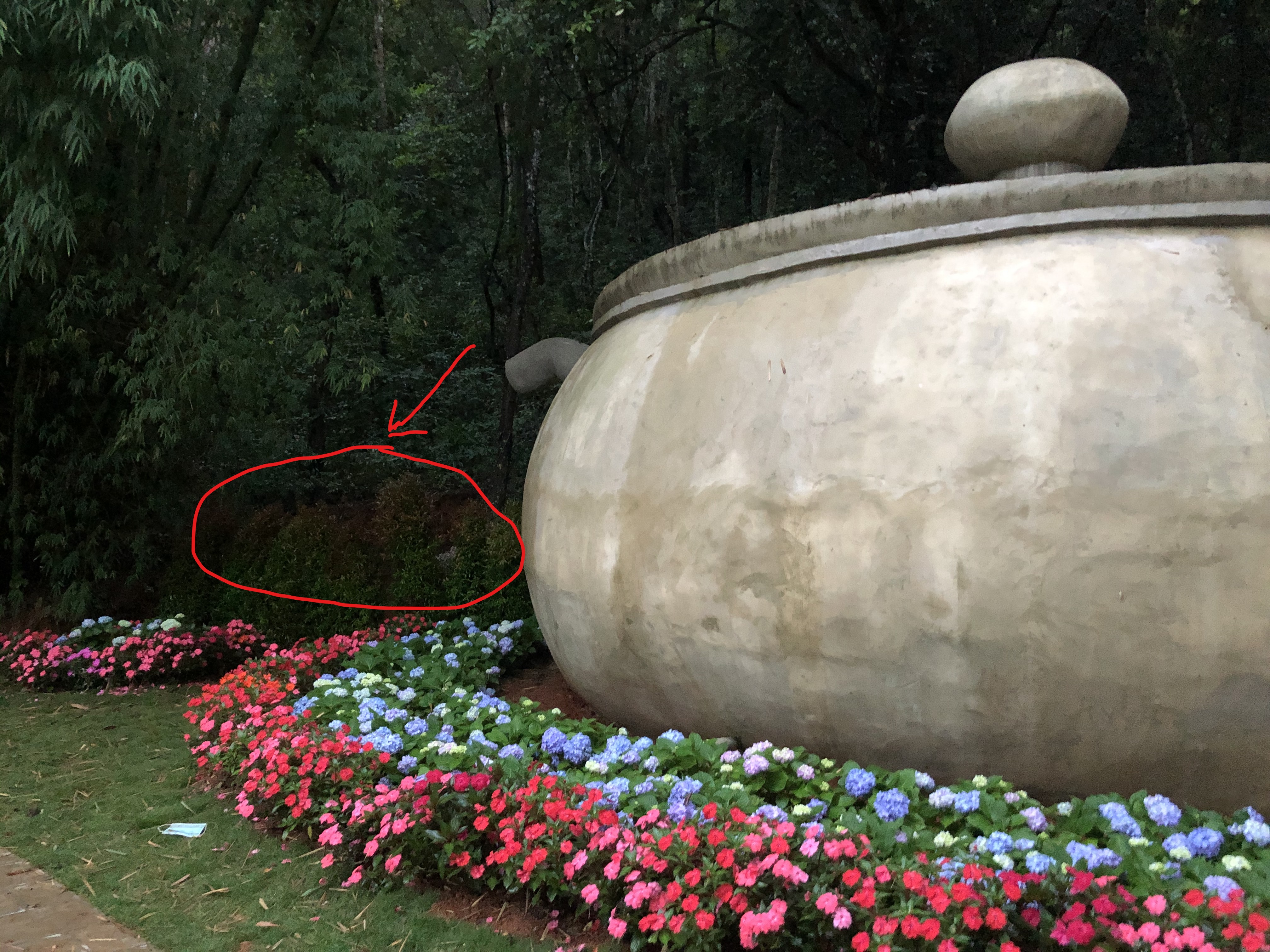 南京女大学生被男友诱杀并埋尸郊野公园，嫌犯戴黑头套在西双版纳现场指认，此前曾与死者父亲一起报案