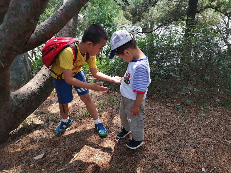 北大印象，漫步北大校园