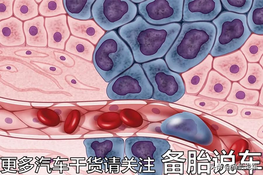 汽车轮胎多久打1次气最合适？及时打气开车才能更安全