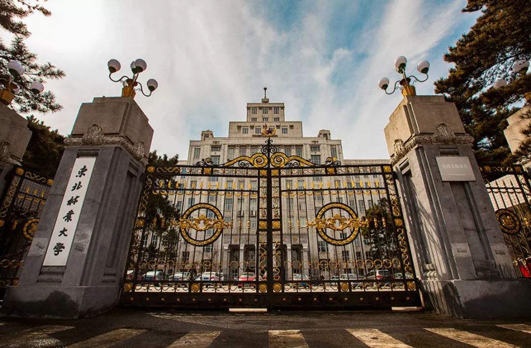 黑龙江22所大学排名：哈尔滨工业大学第一，毕业生四成入职500强