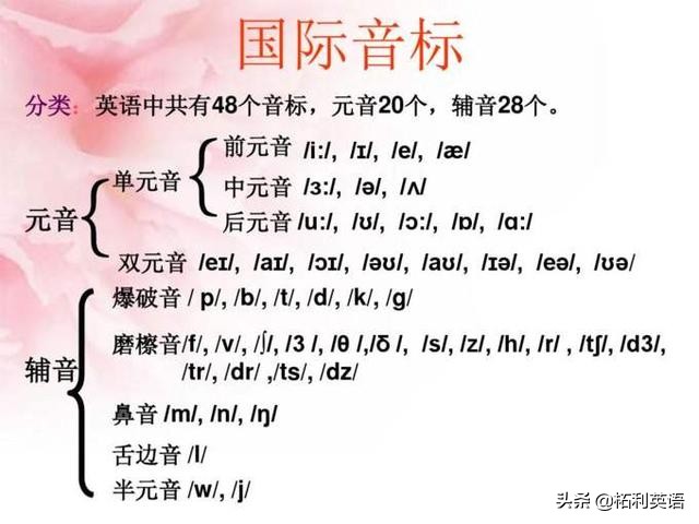 英语48个音标发音指南：从元音到辅音的完整读音教程