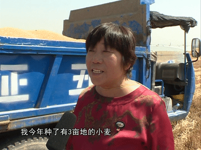 侯馬市11.5萬畝小麥開鐮收割