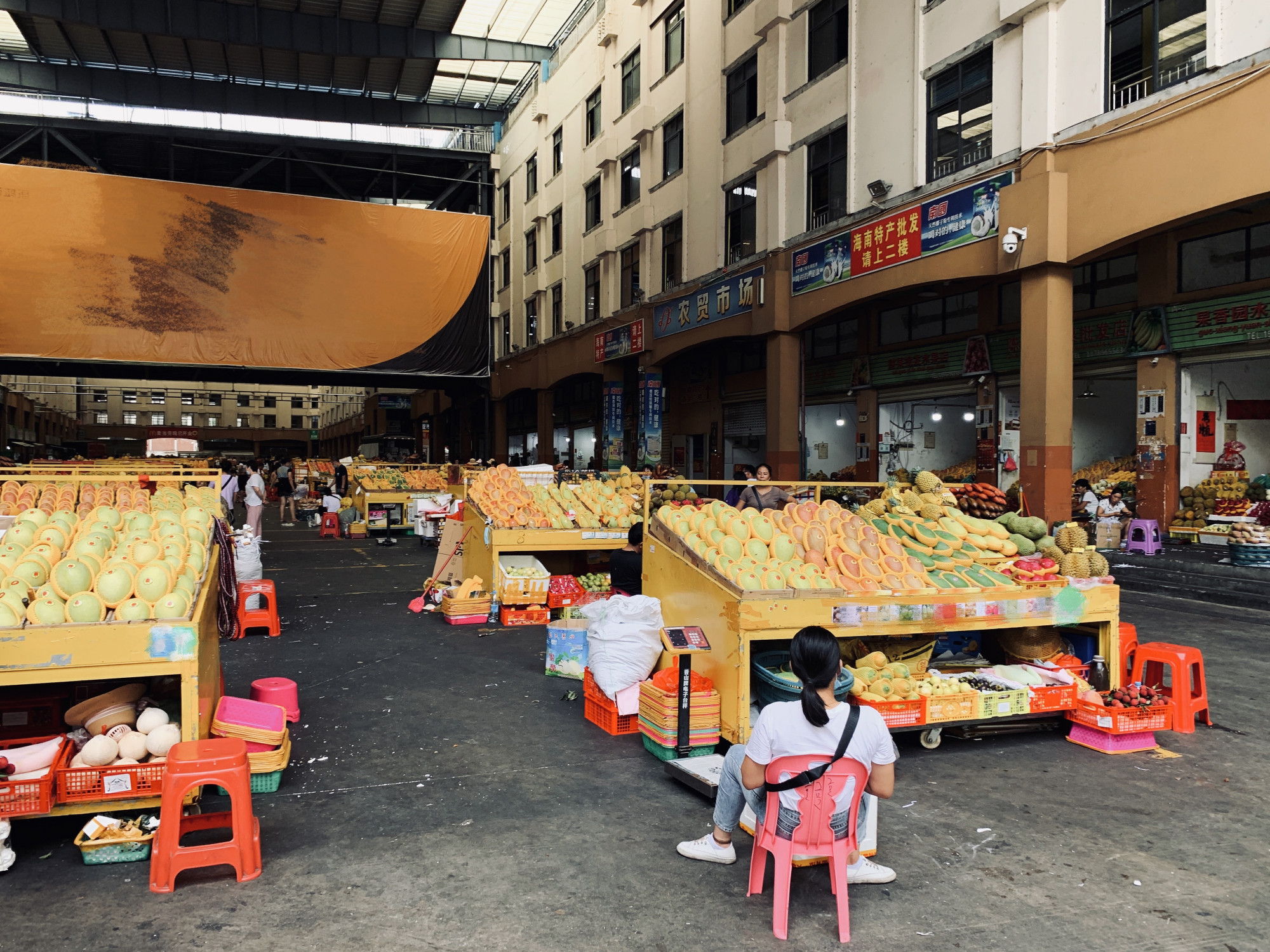 三亚最大的水果批发市场,很多小伙伴表示快递费比水果还贵 