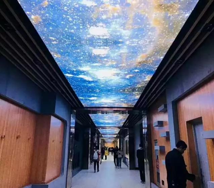 如果，在东南大学遇见你