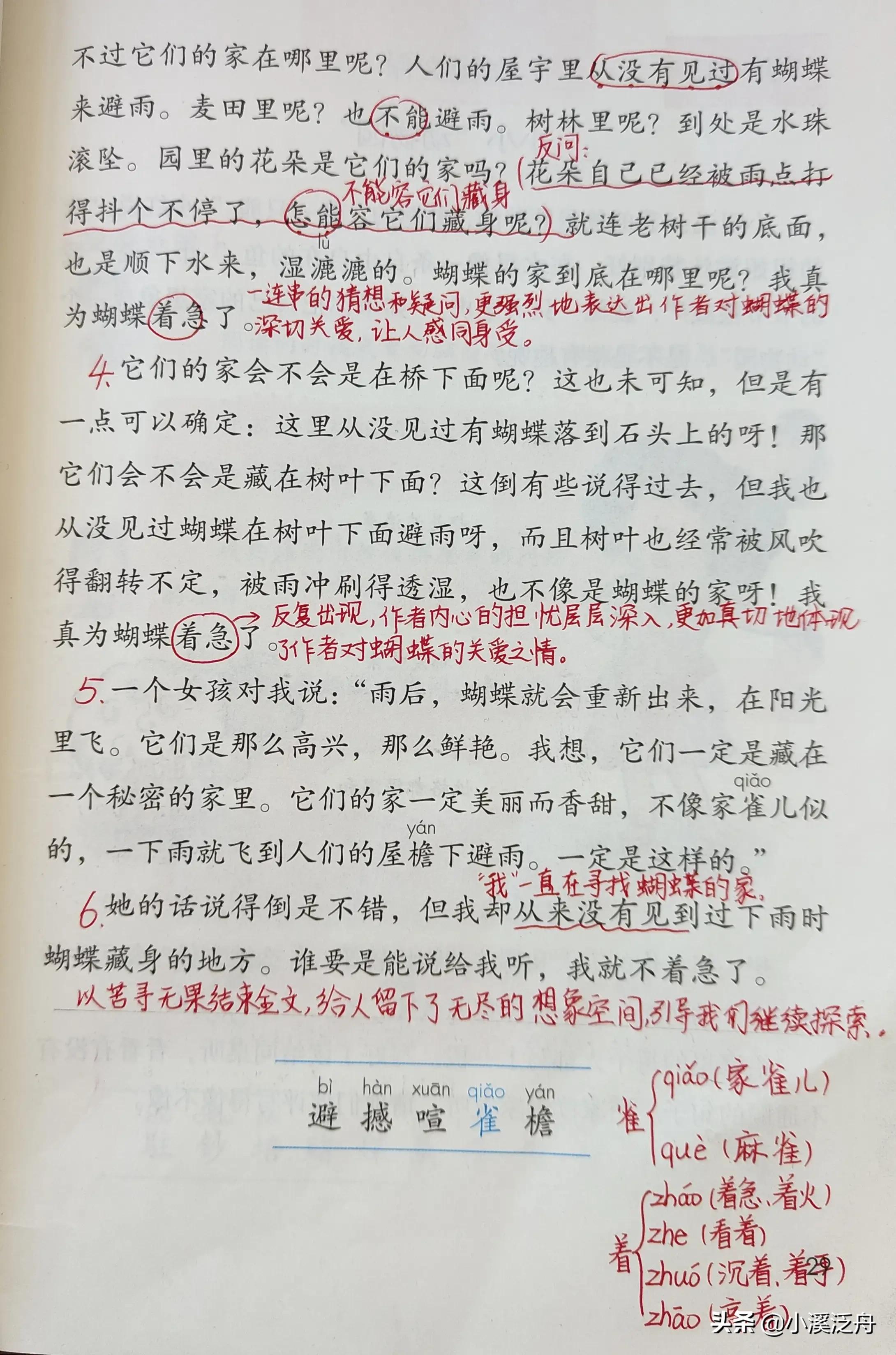 水淋淋的什么填空词语（水淋淋在蝴蝶的家知识点小结）