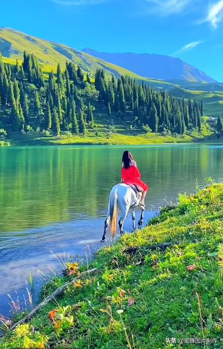 绿色护眼壁纸背景图, 无论去哪沿途都是风景