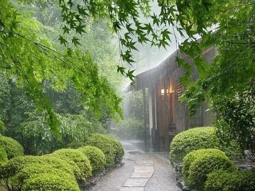 细雨轻抚心弦，天地间奏起诗意的旋律