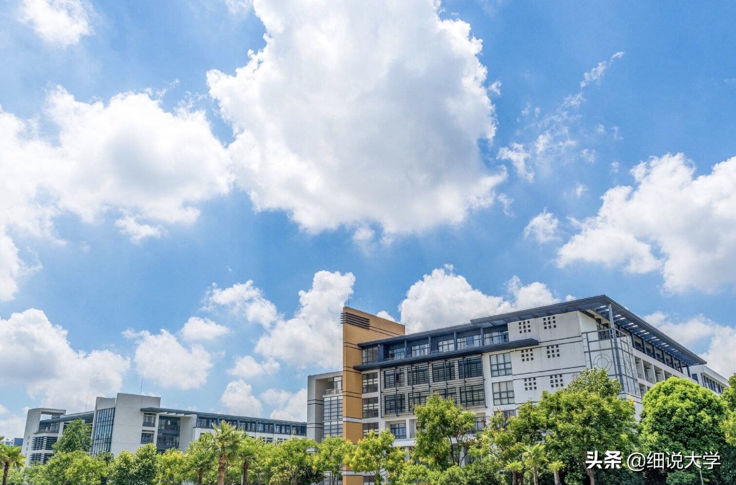 我国经常被“吐槽”的两所大学，为了改名，主动去掉“国字号”